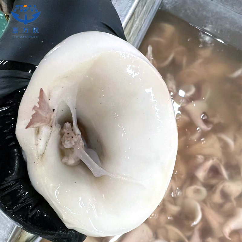 Sea Frozen Blanched Seafood Giant Peru Squid Tail