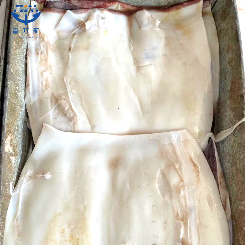 Sea Frozen Seafood Indian Ocean Squid Fillet