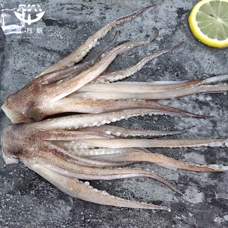 Frozen Seafood Giant Equator Squid Tentacle