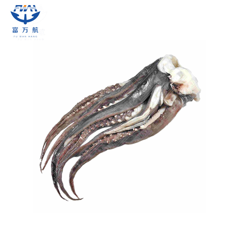 Frozen Seafood Giant Equator Squid Tentacle