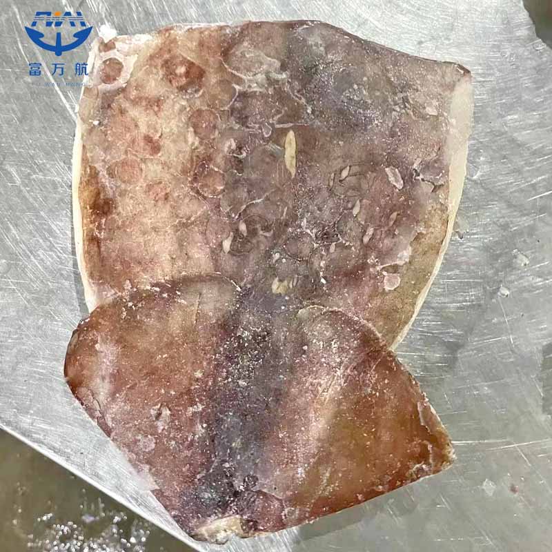 Wholesale Frozen Giant Squid Fillet With Wing
