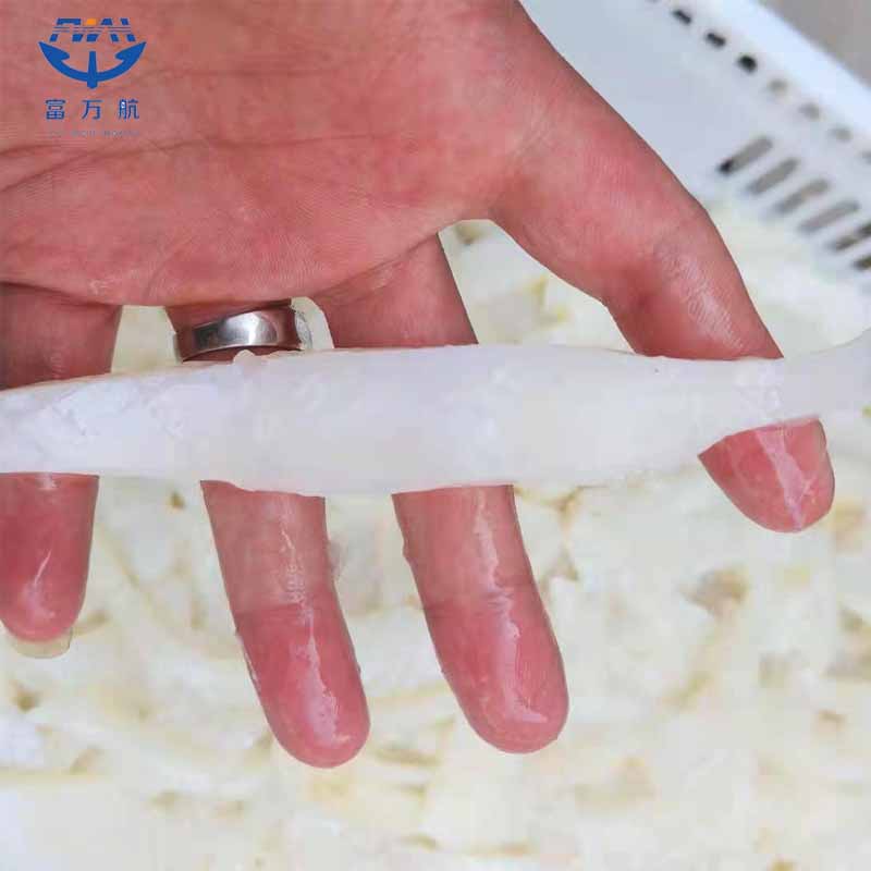 Frozen Giant Squid Meat For Sale