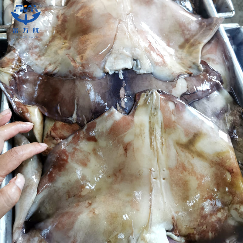 Frozen Seafood Peru Squid Wing