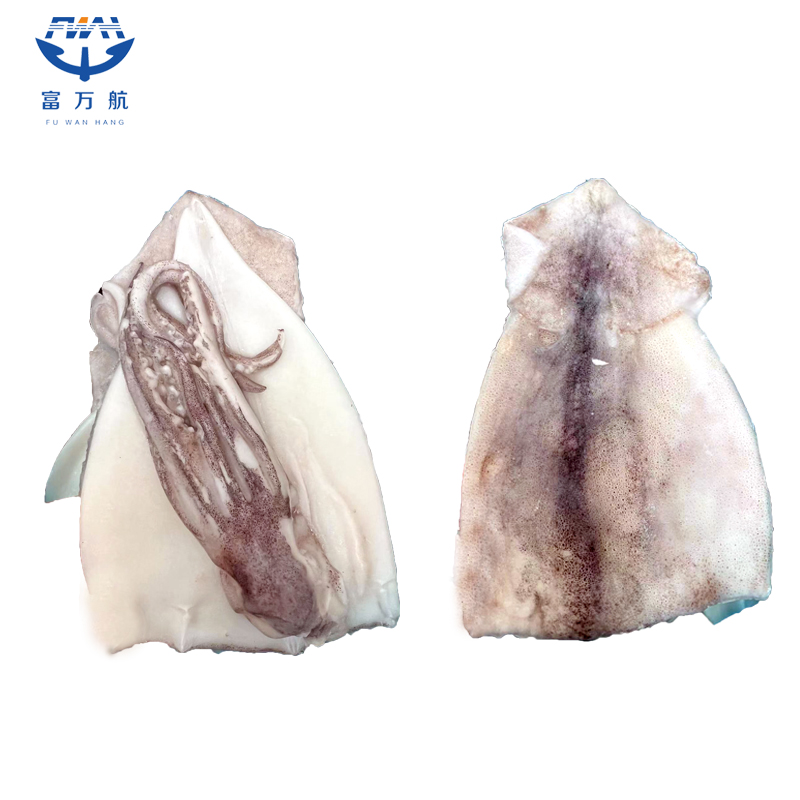 IQF illex squid fillet and head for global market