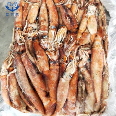 Frozen Seafood Ghana Squid For Sale
