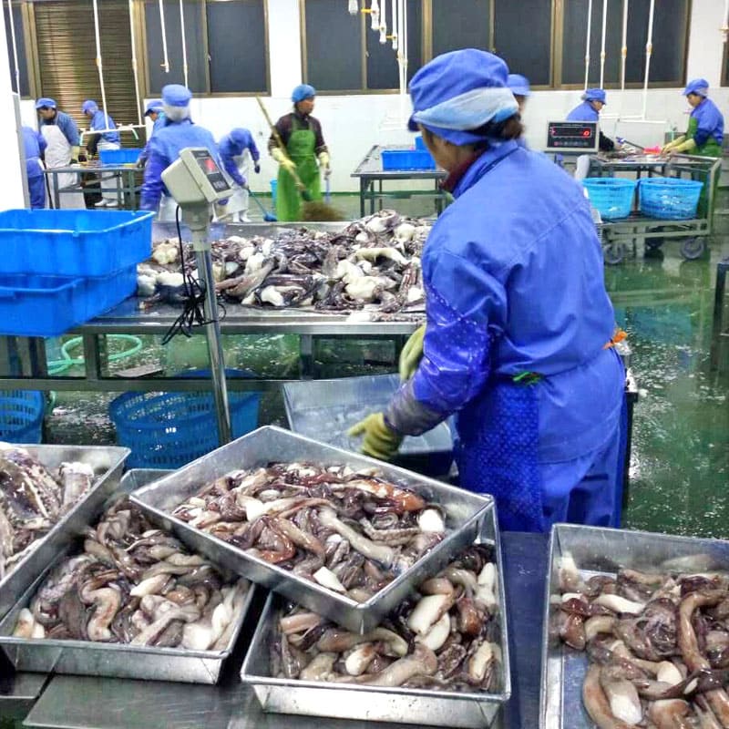 Is this the reason for the soaring sales of squid wings in Korea?