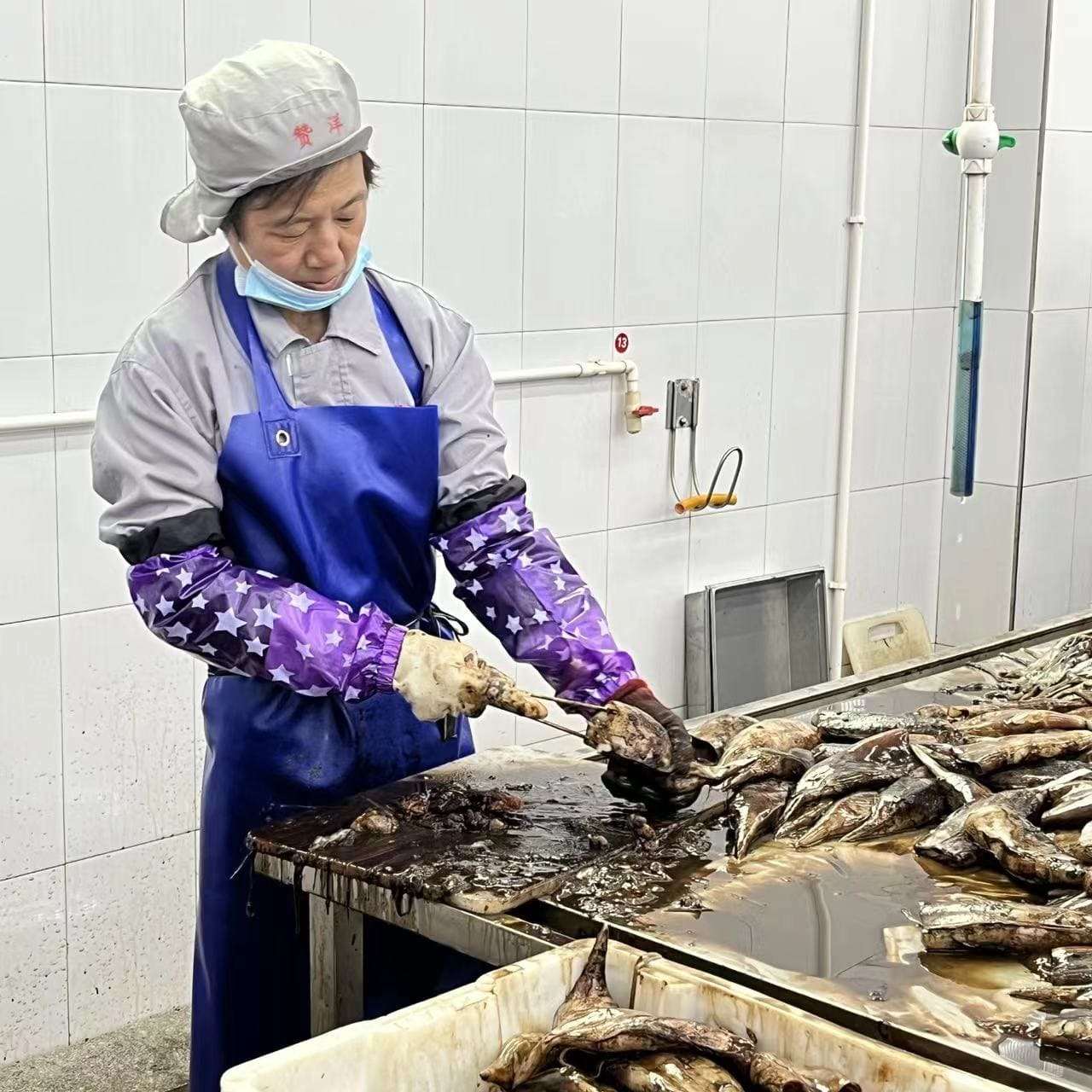 Welcome to fuwanhang seafood factory to see products!