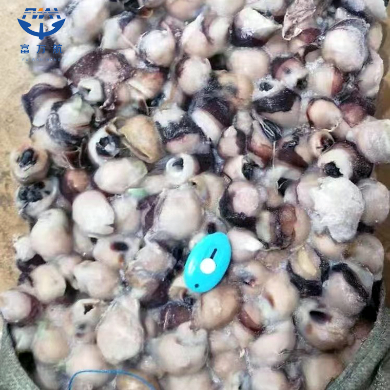 BQF Squid Mouth With Teeth