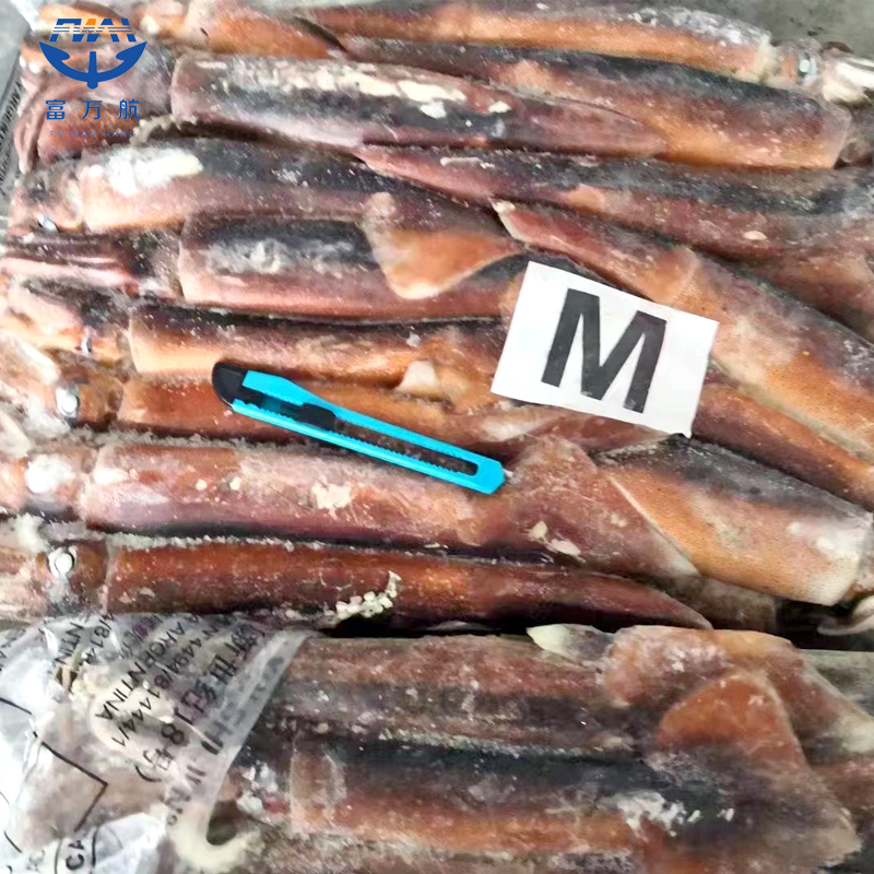 BQF illex squid raw whole squid