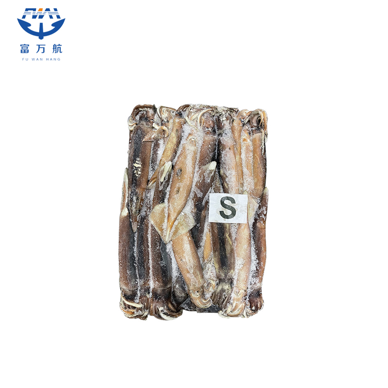 BQF illex squid raw whole squid