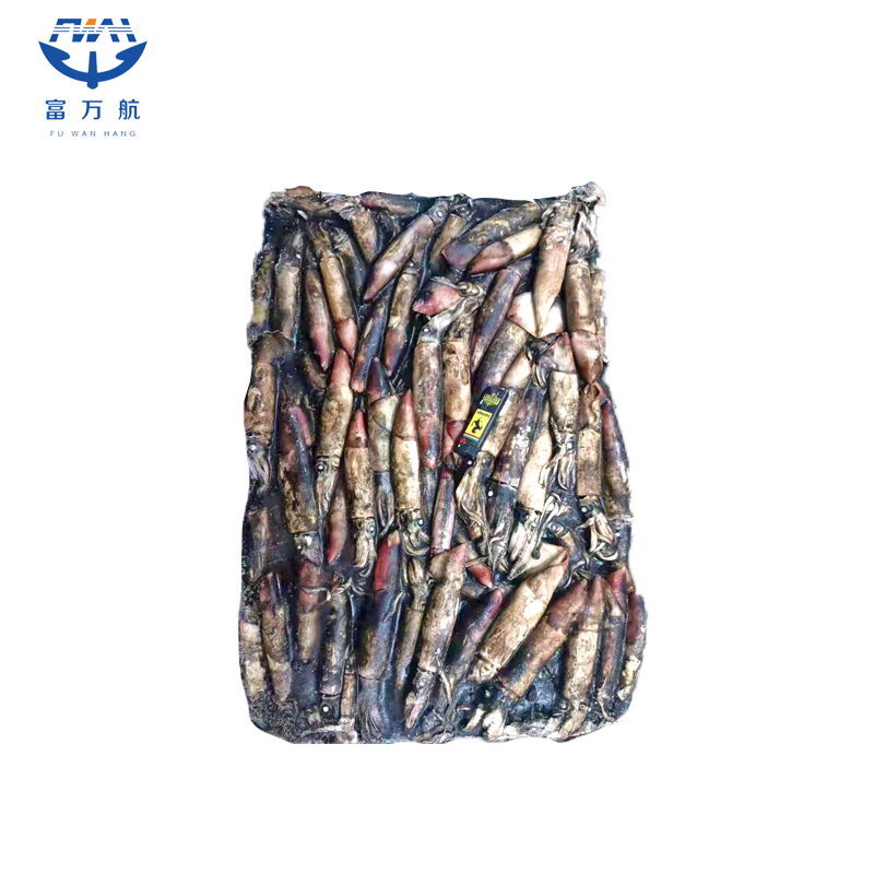 New Stock Frozen Seafood Black Squid