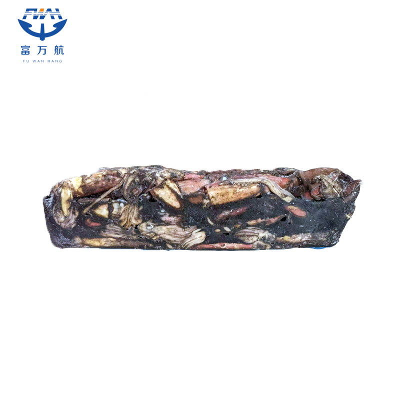 New Stock Frozen Seafood Black Squid