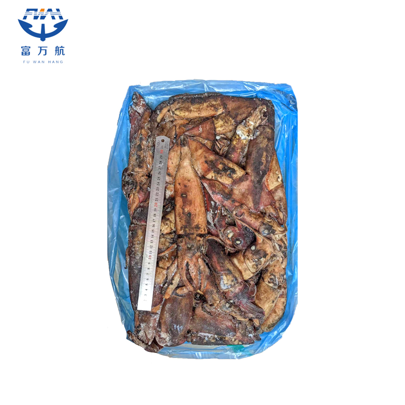New Stock Frozen Seafood Black Squid
