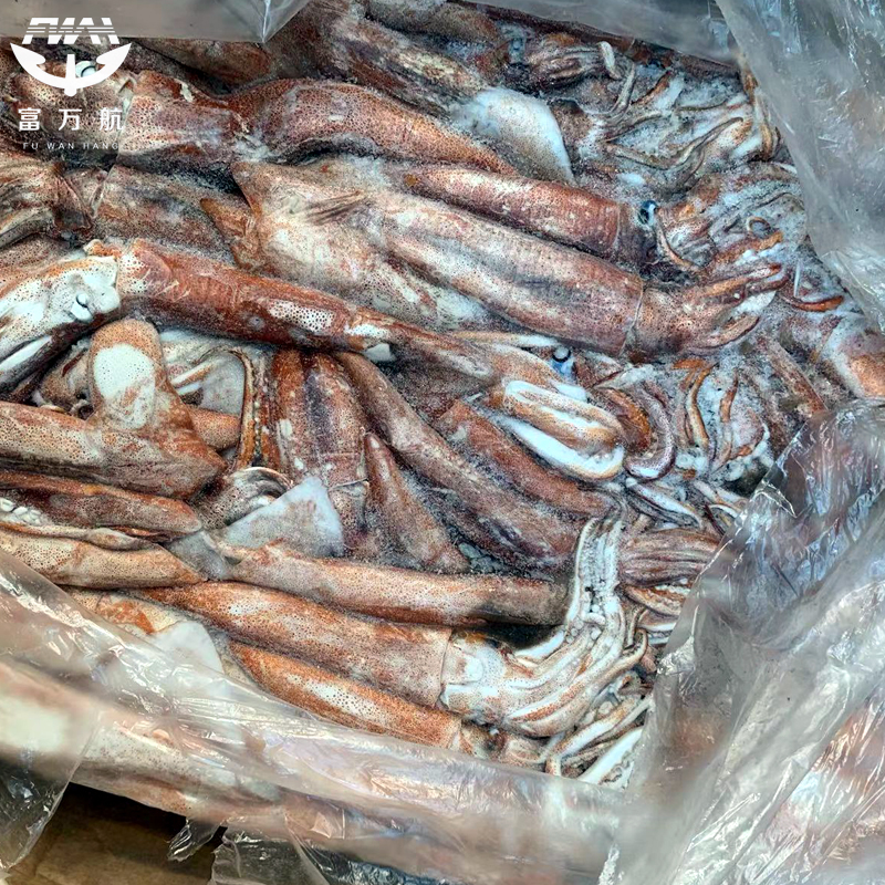 Frozen Seafood Ghana Squid For Sale