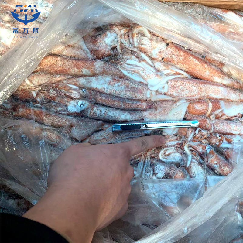 Frozen Seafood Ghana Squid For Sale