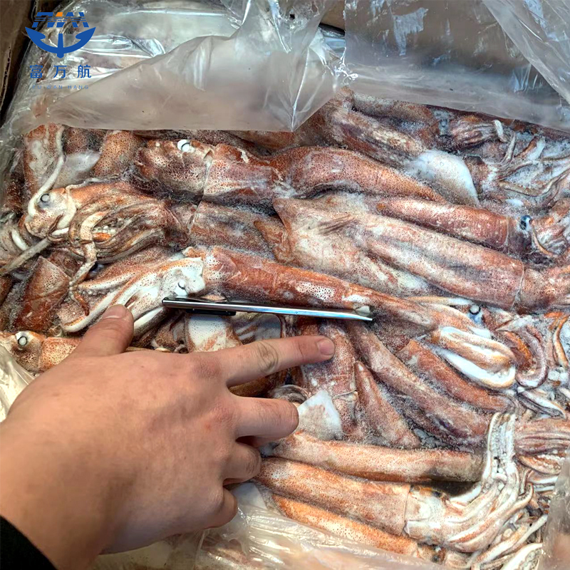 Frozen Seafood Ghana Squid For Sale