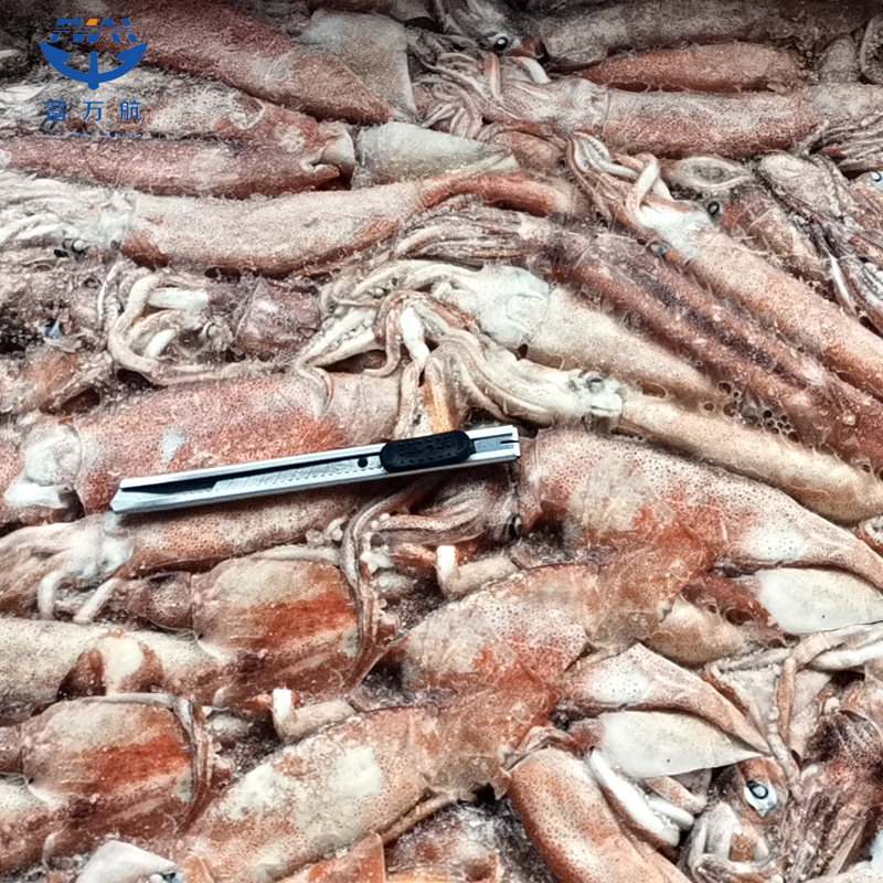Frozen Seafood Ghana Squid For Sale