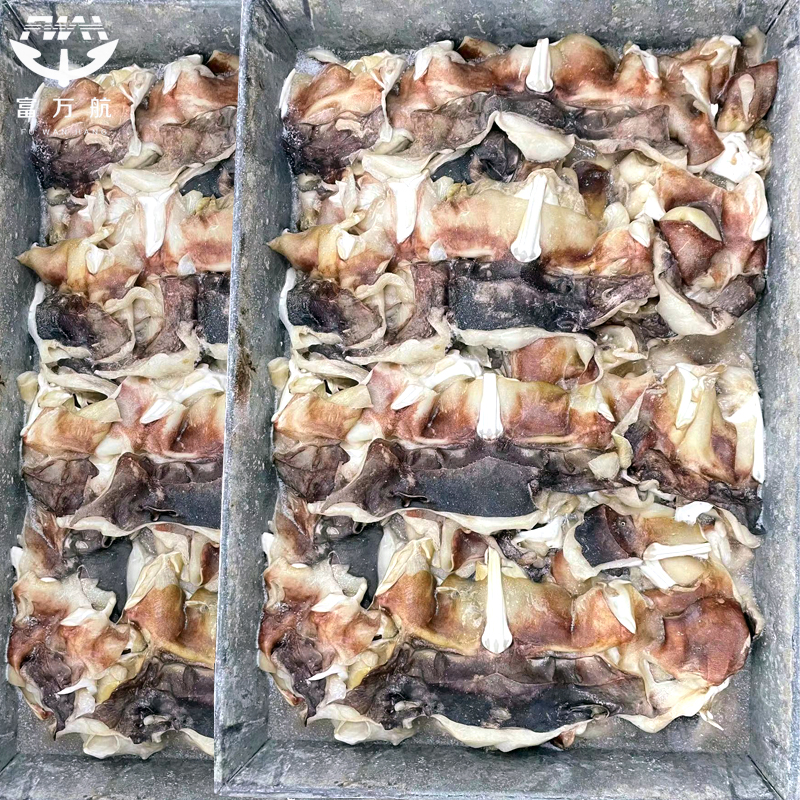 Frozen Cleaned Indian Ocean Squid Neck Seafood