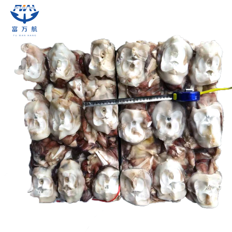 Frozen Cleaned Indian Ocean Squid Neck Seafood