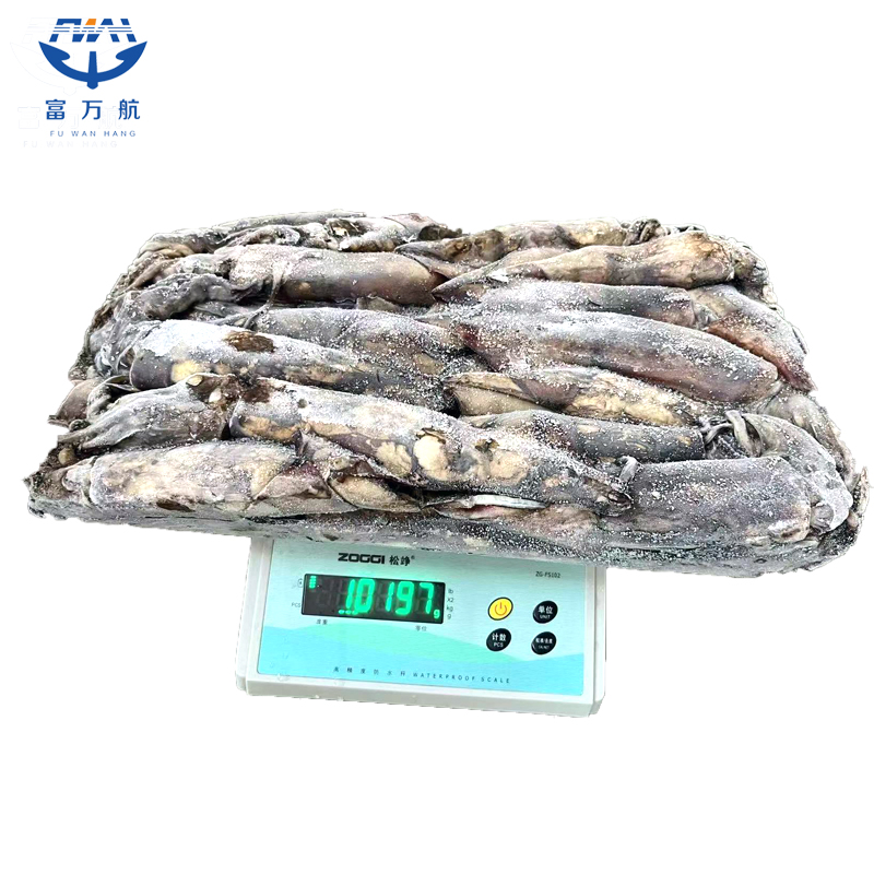 Frozen Seafood Indian Ocean Squid For Sale