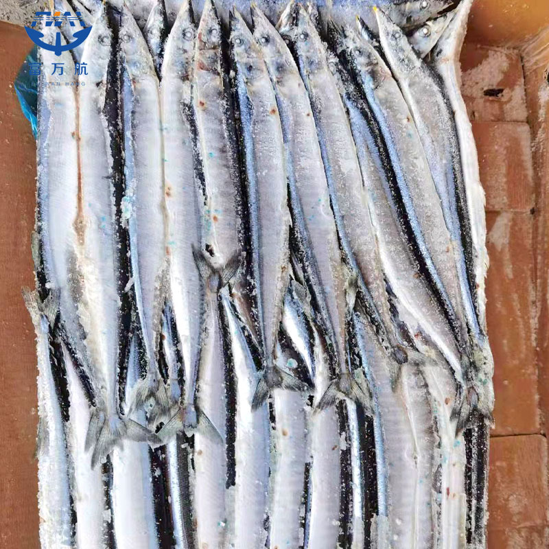 Japanese Frozen Seafood Pacific Saury Fish