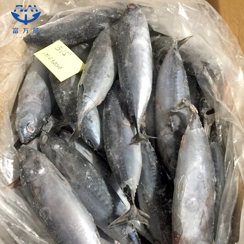Low Fat Frozen Seafood Fish Bluefin Tuna