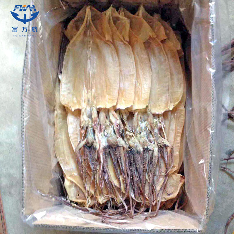 Frozen Seafood Dried Giant Gigas Squid Whole Round