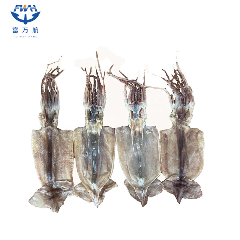 Frozen Seafood Dried Giant Gigas Squid Whole Round