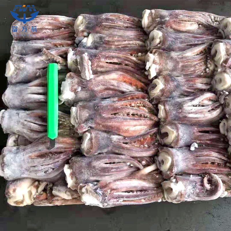 Frozen Seafood Small Size Indian Ocean Squid Head
