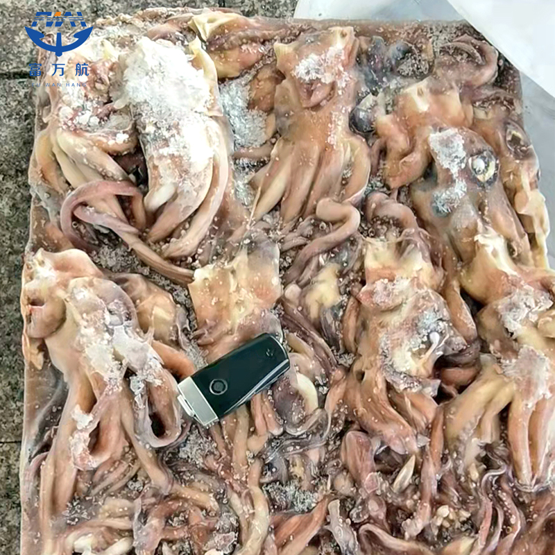Frozen Seafood Small Size Indian Ocean Squid Head