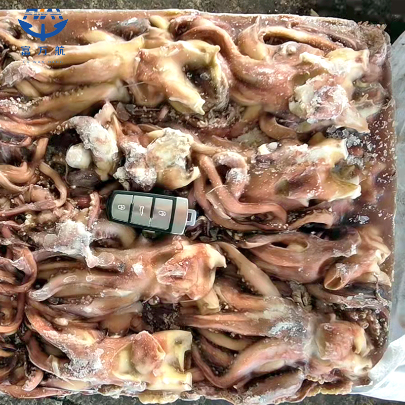 Frozen Seafood Small Size Indian Ocean Squid Head