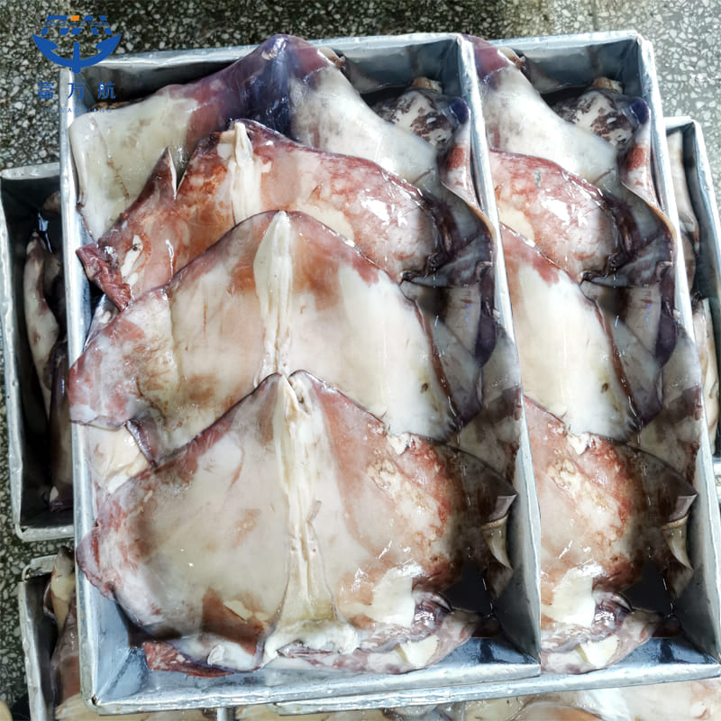 Hot Sale BQF Giant Peru Squid Wing