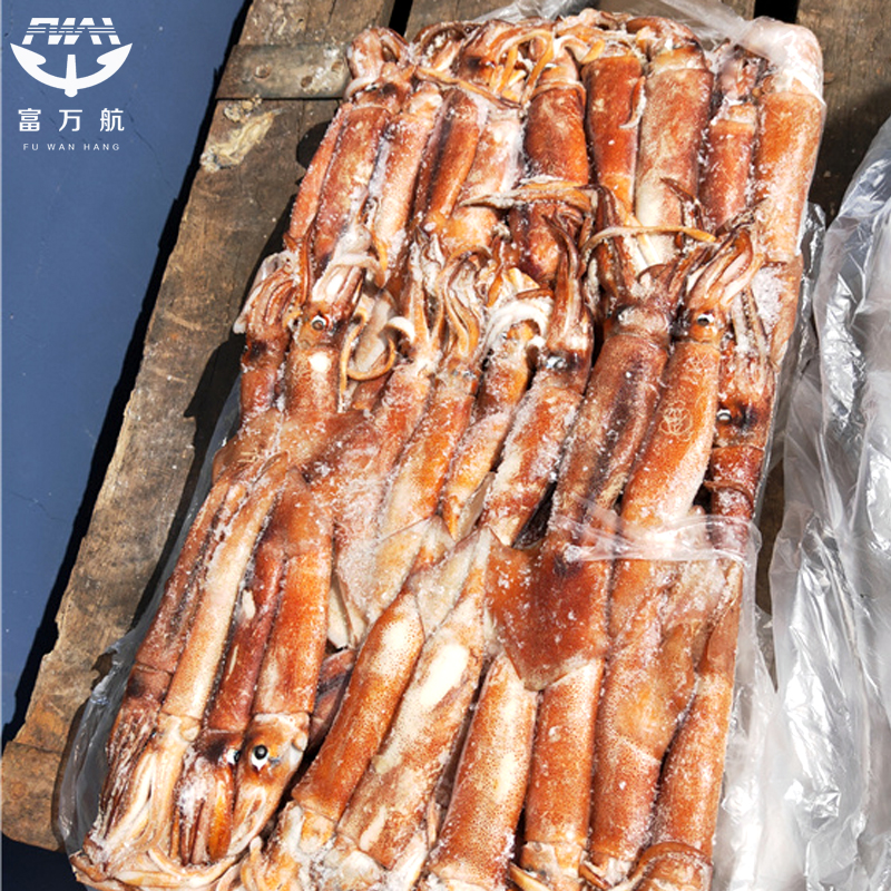 New Season Sea Frozen Ghana Squid Wholesale