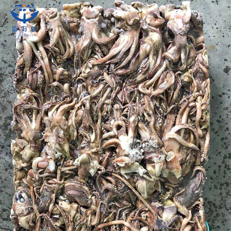 Frozen Seafood Equator Gigas Squid Tentacle Squid Head