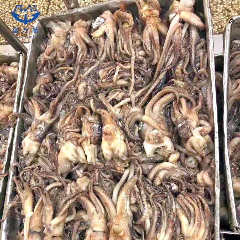 Frozen Seafood Equator Gigas Squid Tentacle Squid Head