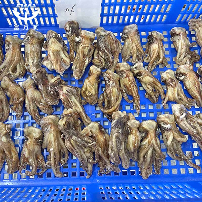 Frozen Seafood Equator Gigas Squid Tentacle Squid Head