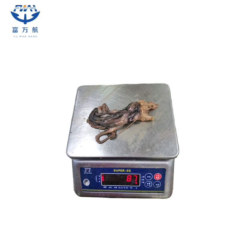 Frozen Seafood Equator Gigas Squid Tentacle Squid Head