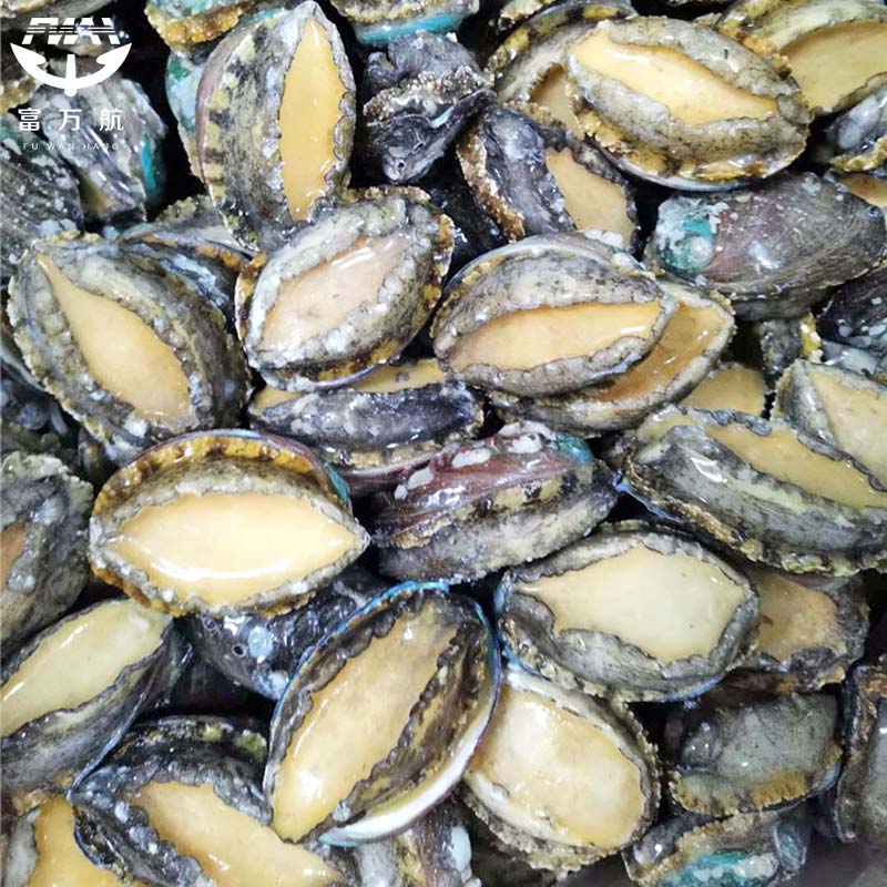 Frozen Seafood Abalone In Shell