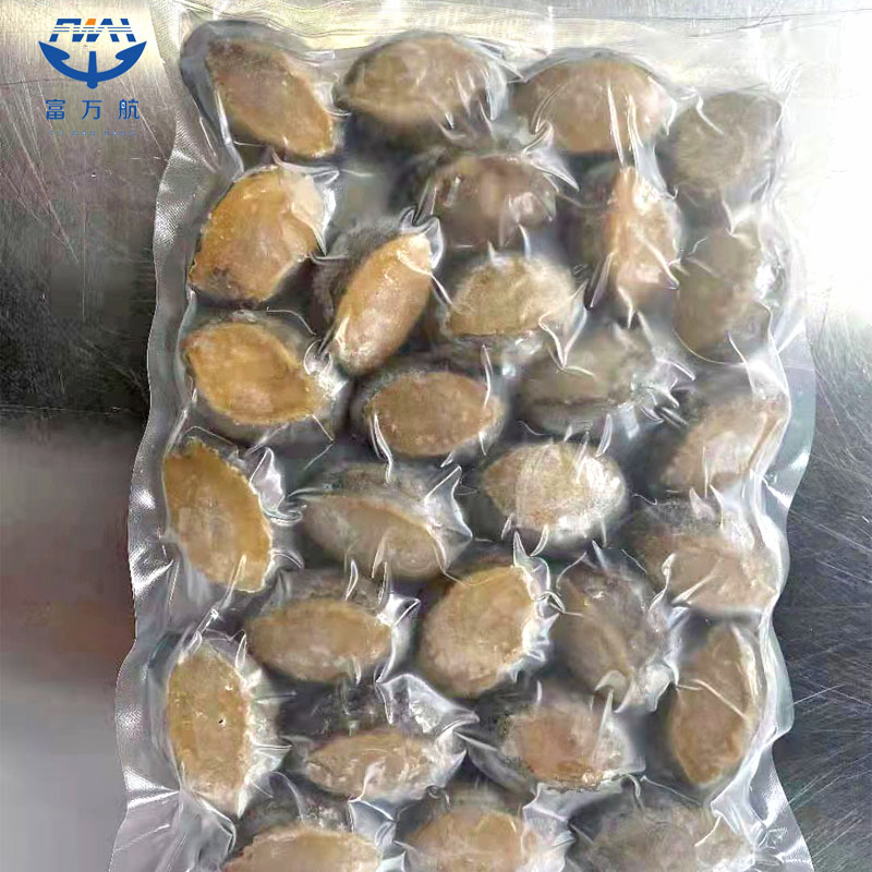 Frozen Seafood Abalone In Shell