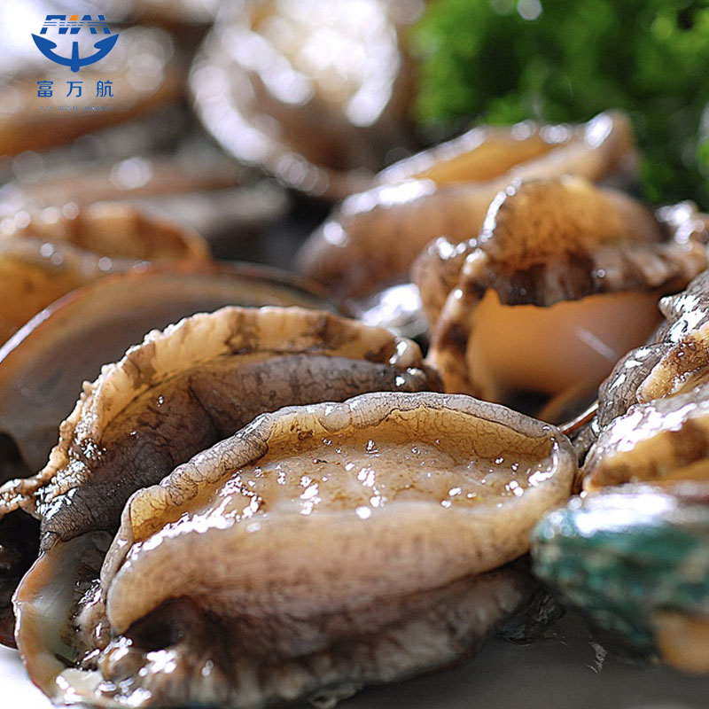 Frozen Seafood Abalone In Shell