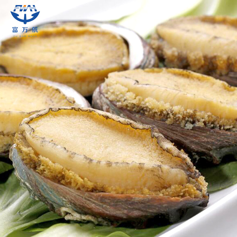 Frozen Seafood Abalone In Shell