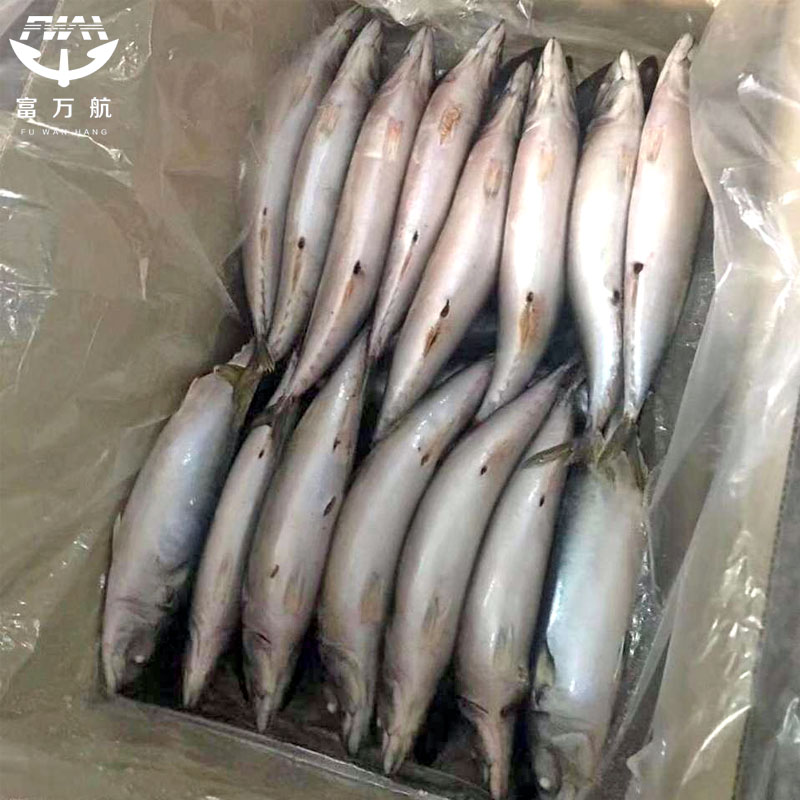 Whole Round Fish Mackerel Wholesale With Factory Price