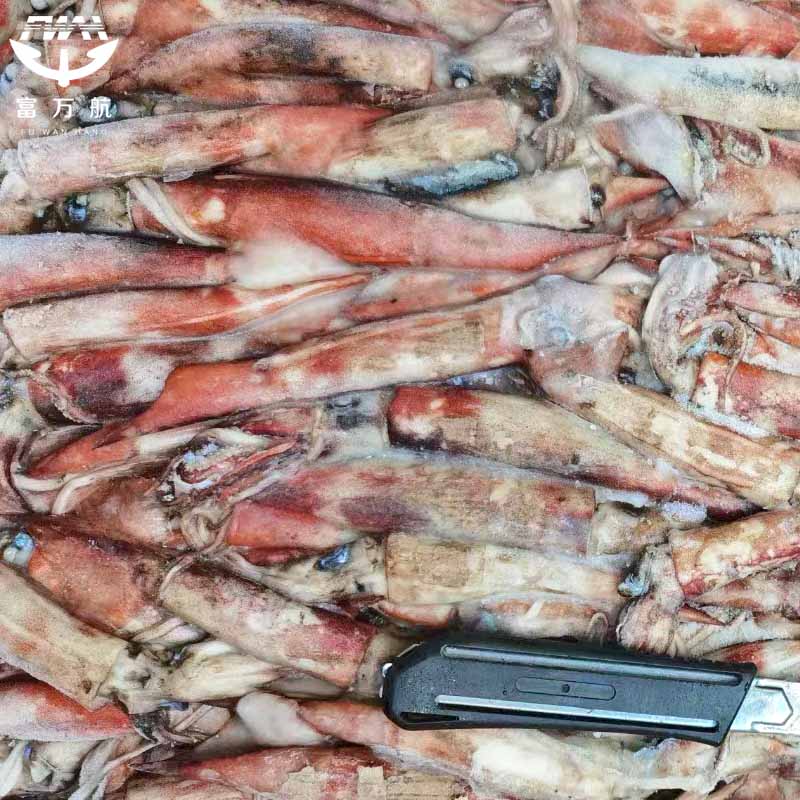 Whole Round Frozen North Pacific Squid