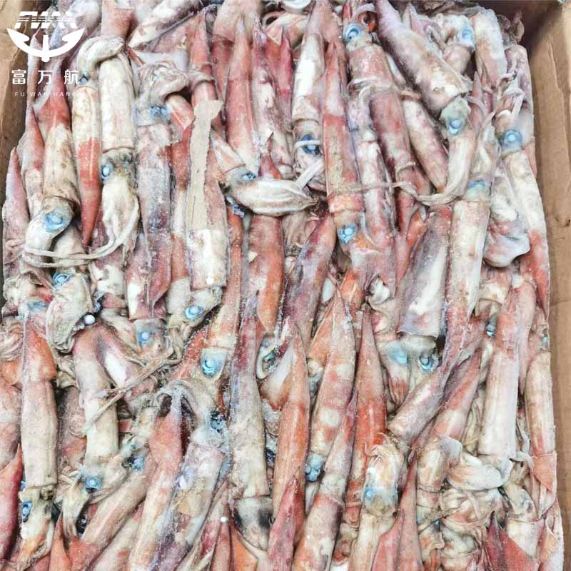 Frozen North Pacific Squid Raw Meat