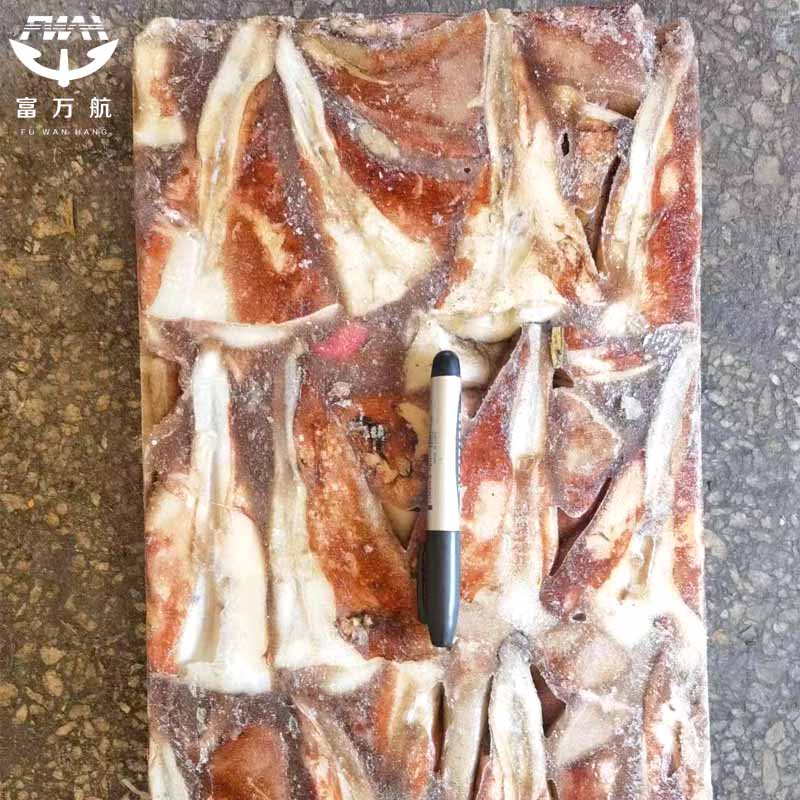sea frozen indian ocean squid tip tail