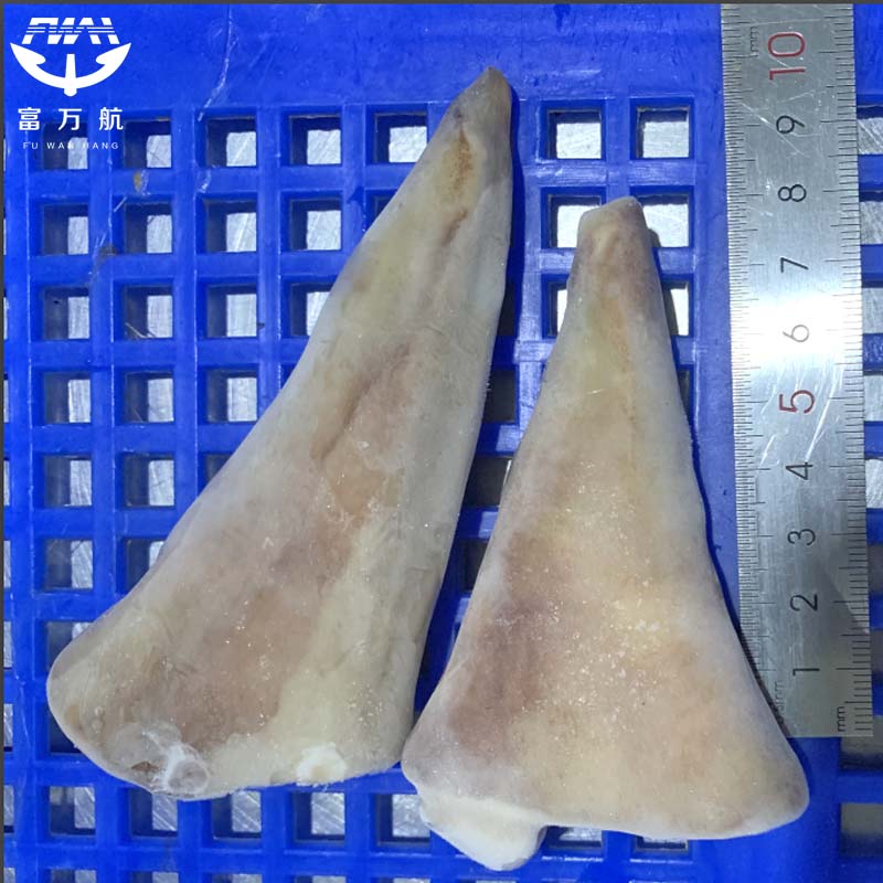 sea frozen indian ocean squid tip tail