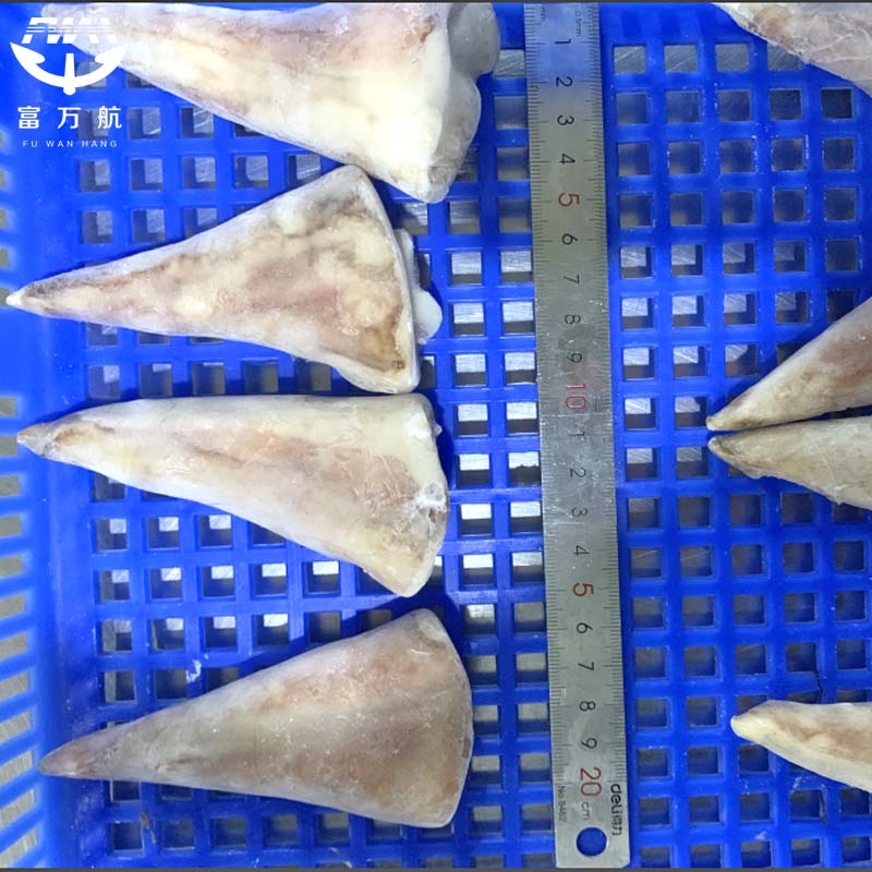 sea frozen indian ocean squid tip tail