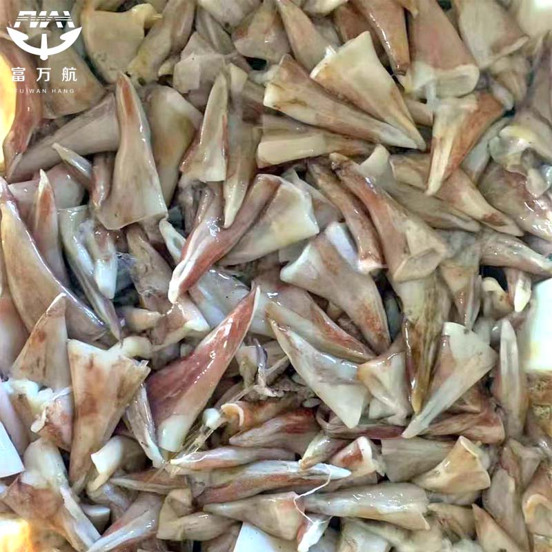 sea frozen indian ocean squid tip tail