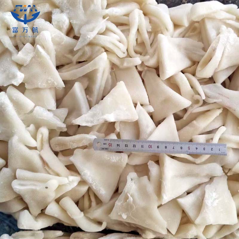  Frozen Todarodes Squid Tail