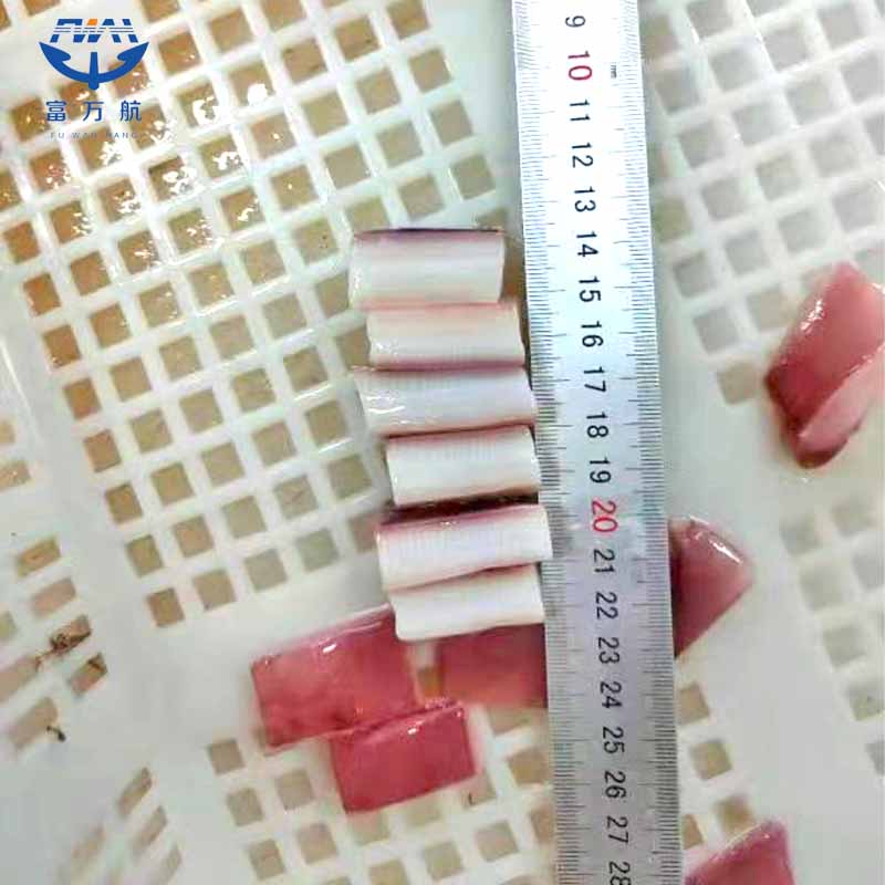 New Processing Frozen Indian Ocean Squid Wing Cube